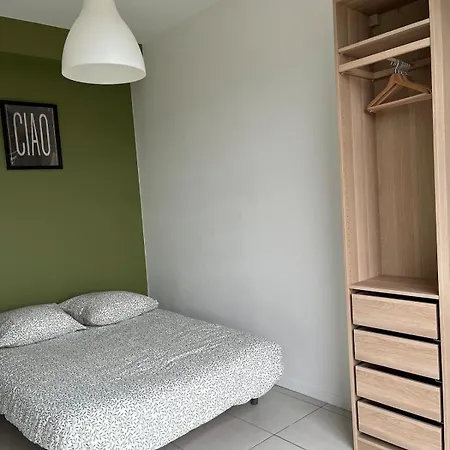 Zenith St Etienne * Saint-Etienne (Loire)